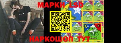 гидра Ставрополь