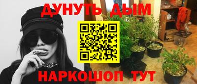 гидра Ставрополь